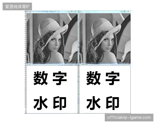 数字水印加密技术如何从源头瓦解世界杯赛事版权的非法分流行为